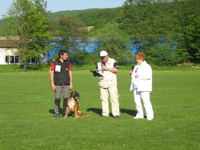 www.atibox.net * www.euroboxer.eu * www.boxergenealogia.eu